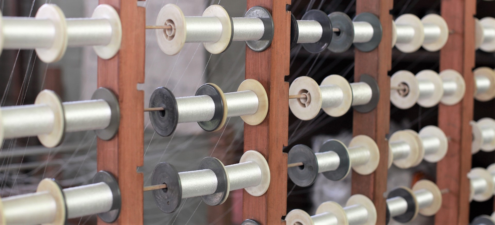 量産可能で用途広い世界最強ミノムシの糸 実用化で産業社会は大変化 なんだそりゃ Com